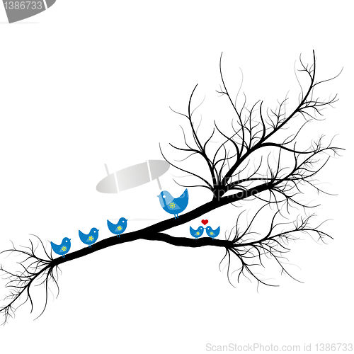 Image of Silhouette of birds on branch