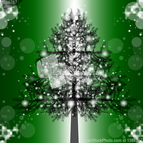 Image of Christmas Tree