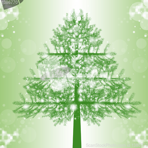 Image of Christmas Tree