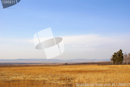 Image of Landscape.