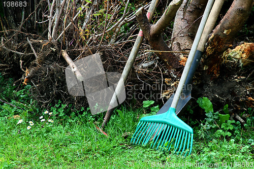 Image of garden work