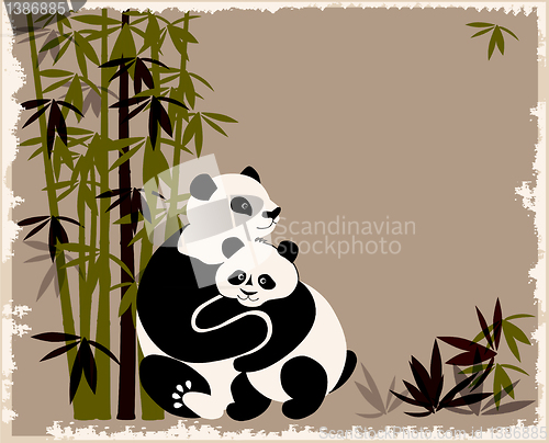 Image of pandas family in the bamboo forest