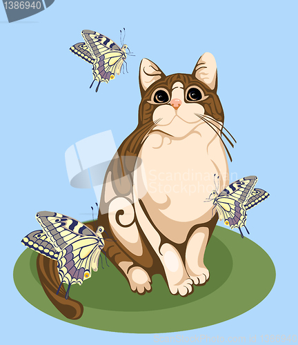 Image of cat playing with butterflies