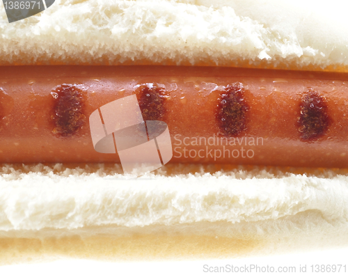 Image of hot dog