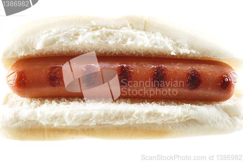 Image of hot dog