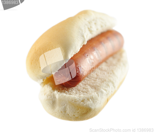 Image of hot dog