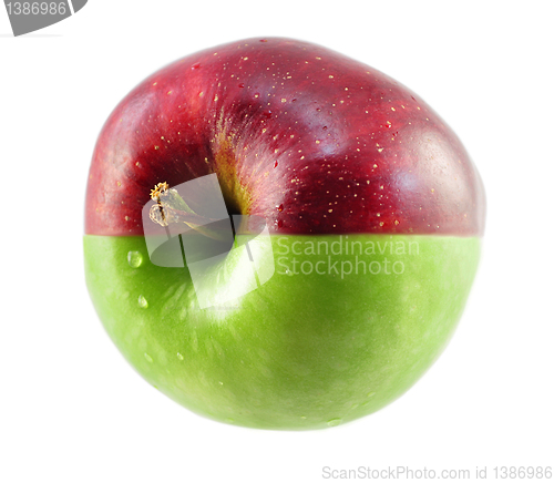 Image of apple