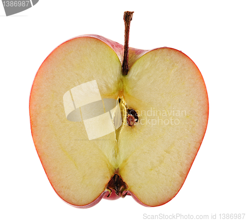 Image of apple