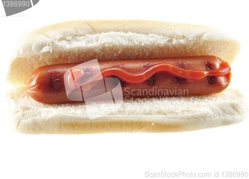 Image of hot dog