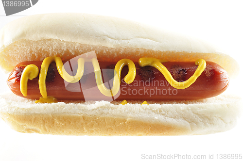 Image of hot dog