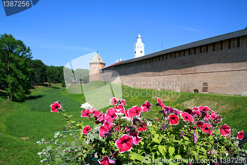 Image of flowerses on background of the old fortress