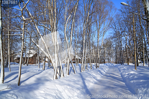 Image of snow track in winter park