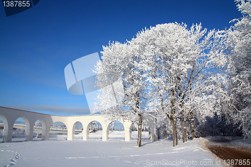 Image of tree near ancient town wall