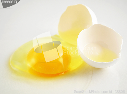 Image of broken egg 