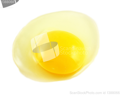 Image of egg