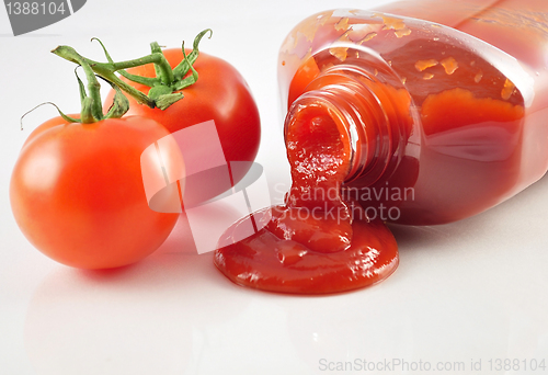 Image of tomato ketchup