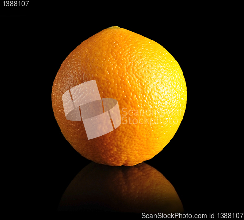 Image of orange 