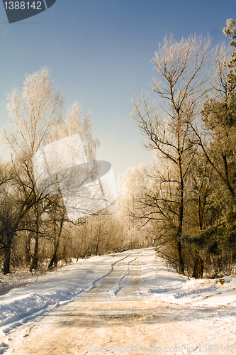 Image of Rural road (winter)
