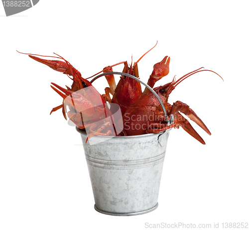 Image of Tin bucket of boiled crawfish