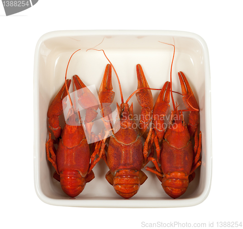 Image of Three boiled crawfish in ceramic dish