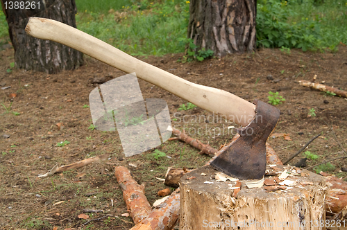 Image of Axe in stump in the clearing in woods