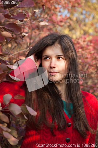 Image of Red leaves portrait