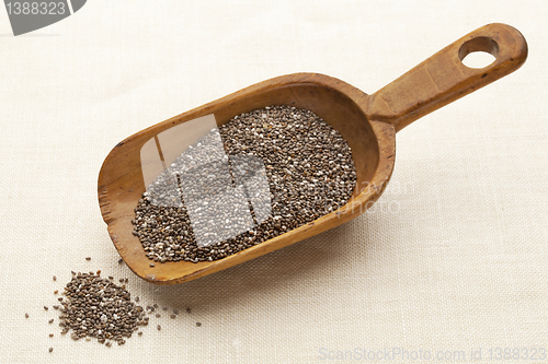 Image of scoop of chia seeds