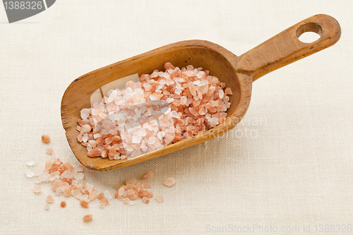 Image of Himalayan salt scoop