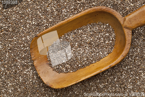 Image of chia seed on scoop