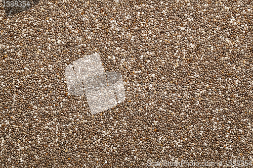 Image of chia seed background