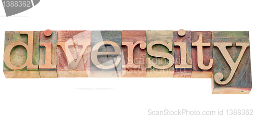 Image of diversity word in letterpress type