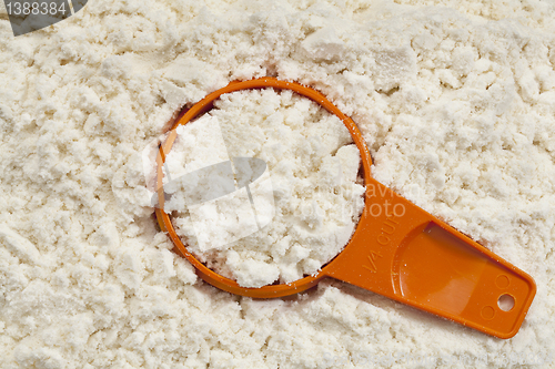 Image of whey protein powder scoop