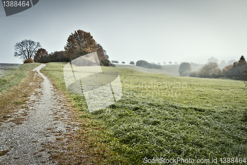 Image of fog in bavaria