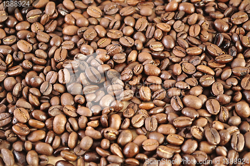 Image of coffee beans background