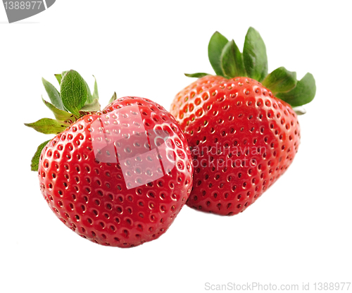 Image of fresh strawberry