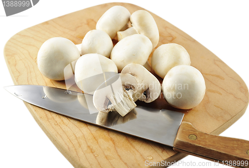 Image of white mushrooms