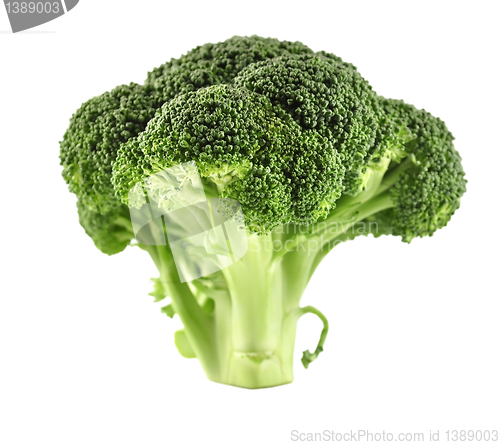 Image of Broccoli Cabbage