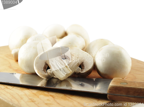 Image of white mushrooms 
