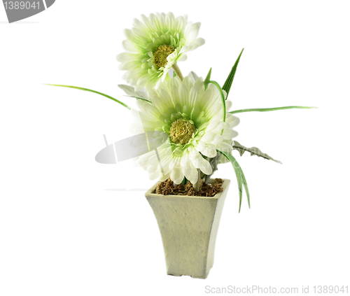 Image of decorative flowers