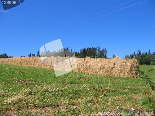 Image of Hay-drying rack