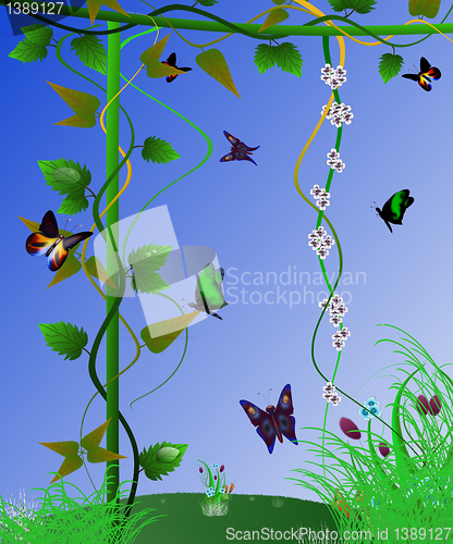 Image of flying butterflies 