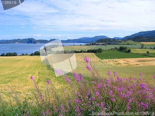 Image of Norwegian farmland