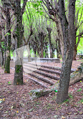 Image of aging stairway in spring park