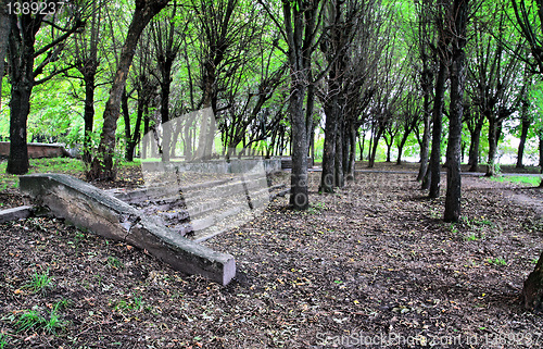 Image of aging stairway in spring park