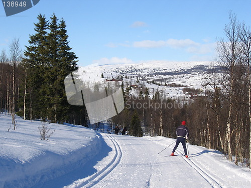 Image of Skiing