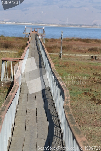 Image of boardwalk at Baylands4