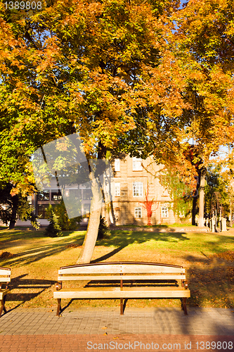 Image of Bench in park