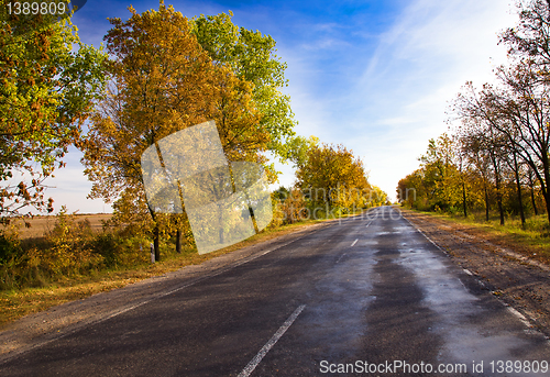 Image of Autumn road