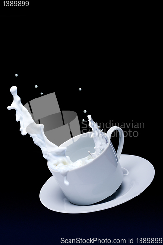 Image of Milk