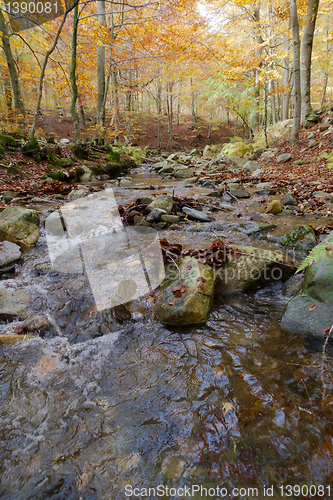 Image of Autumn Colors